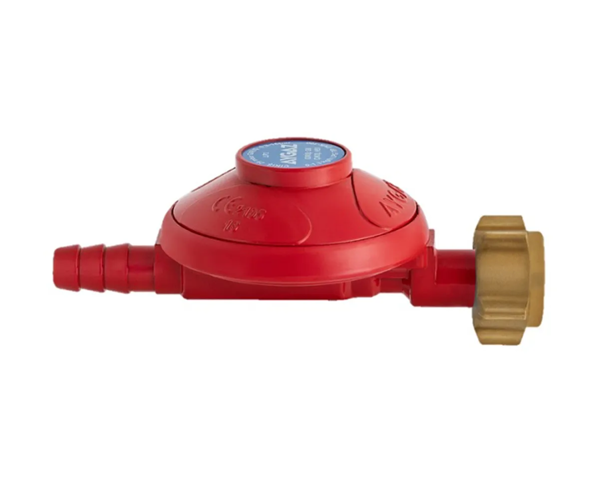 Vidalı RV 200 yüksek basınçlı dedantör 10 mm